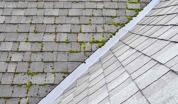 roof-cleaning